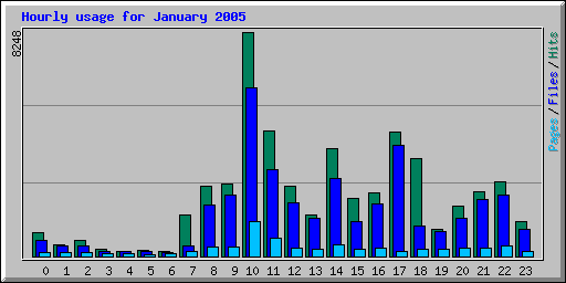 Hourly usage for January 2005