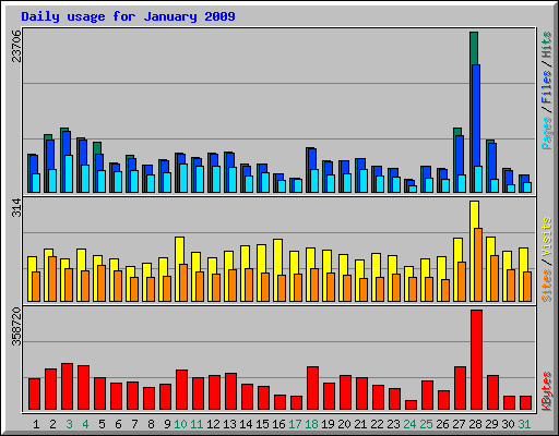 Daily usage for January 2009