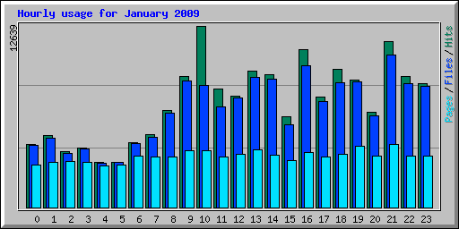 Hourly usage for January 2009