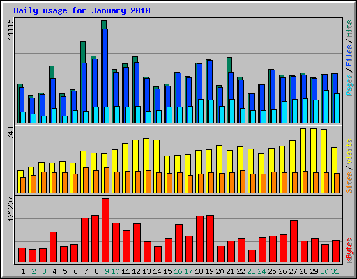 Daily usage for January 2010