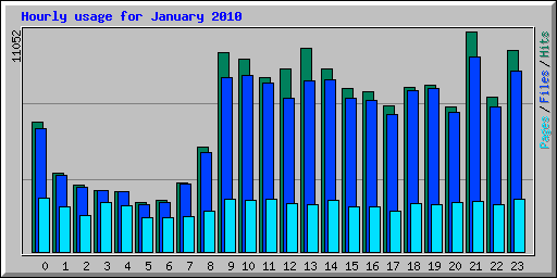 Hourly usage for January 2010