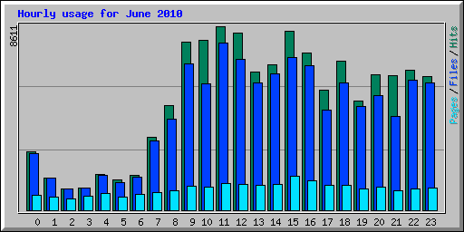 Hourly usage for June 2010