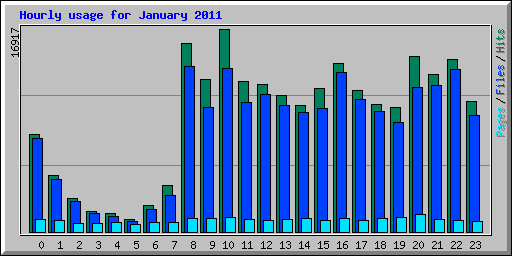 Hourly usage for January 2011