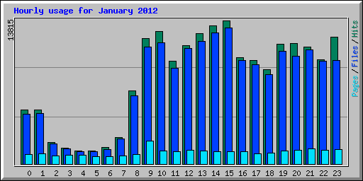 Hourly usage for January 2012