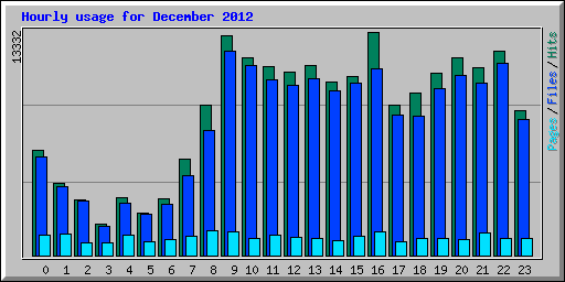 Hourly usage for December 2012