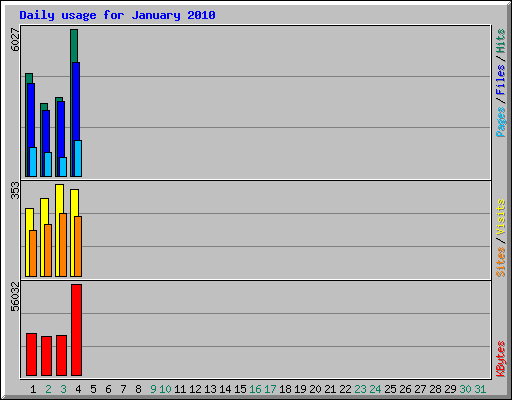 Daily usage for January 2010