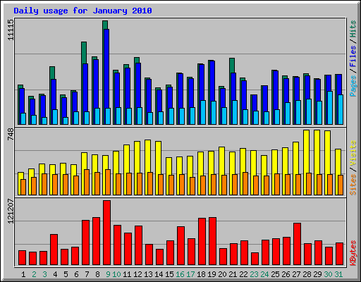 Daily usage for January 2010