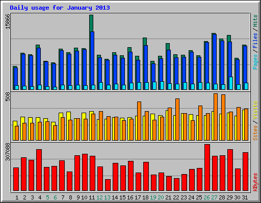 Daily usage for January 2013