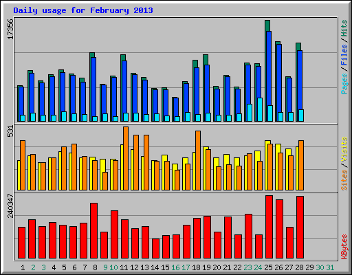 Daily usage for February 2013