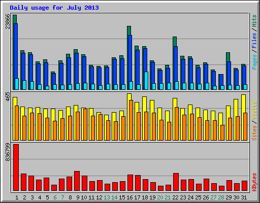 Daily usage for July 2013