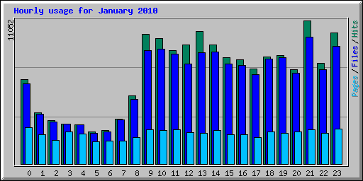 Hourly usage for January 2010