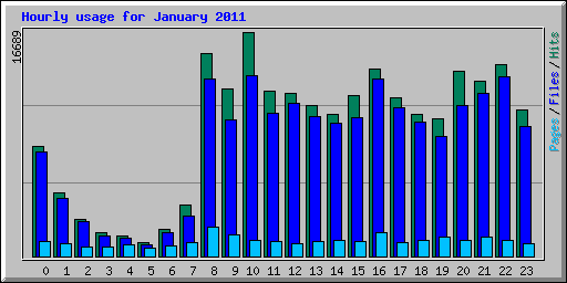 Hourly usage for January 2011