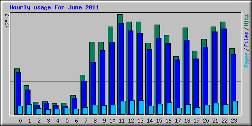 Hourly usage for June 2011