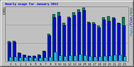 Hourly usage for January 2012