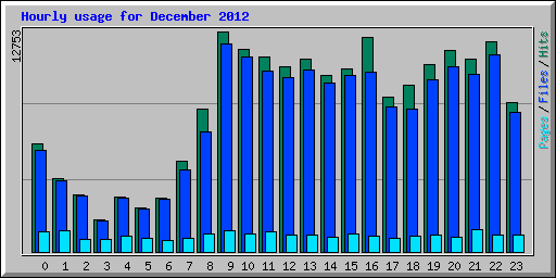 Hourly usage for December 2012