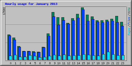 Hourly usage for January 2013