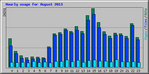 Hourly usage for August 2013